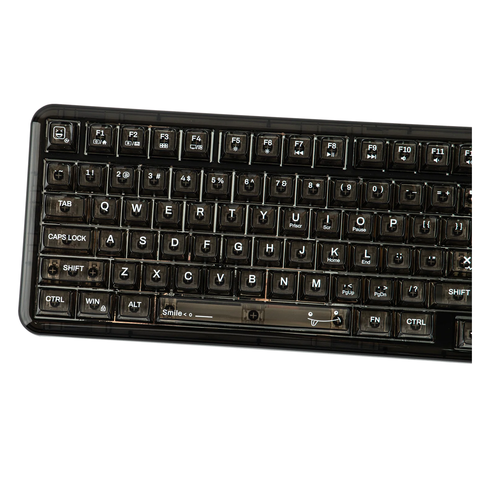 AULA F-NB98 - Image 3